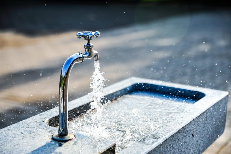 Portable Water Purifier